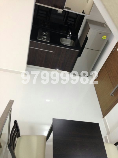 Loft @ Nathan (D10), Condominium #31075422